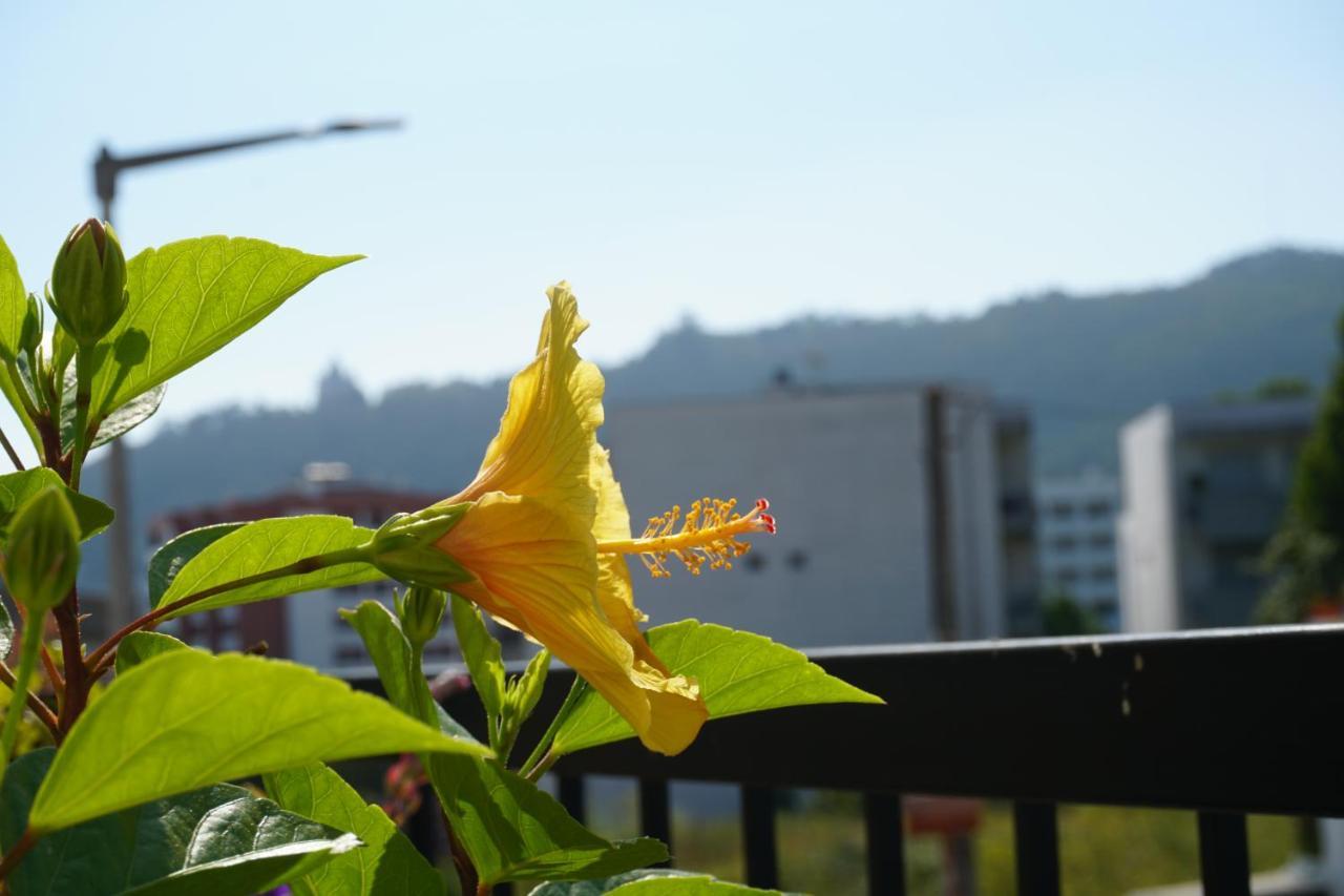 Jardim Da Celeste 비아나도카스텔로 외부 사진