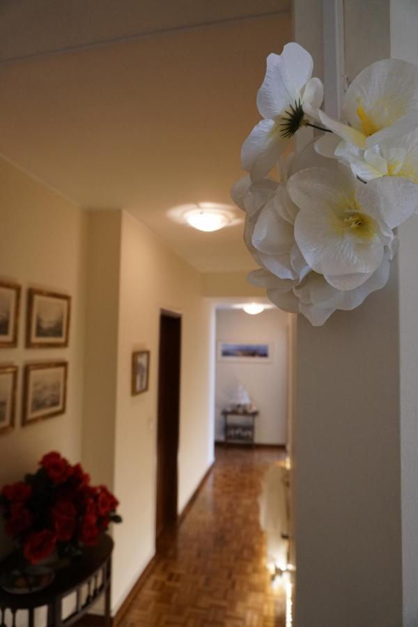 Jardim Da Celeste 비아나도카스텔로 외부 사진