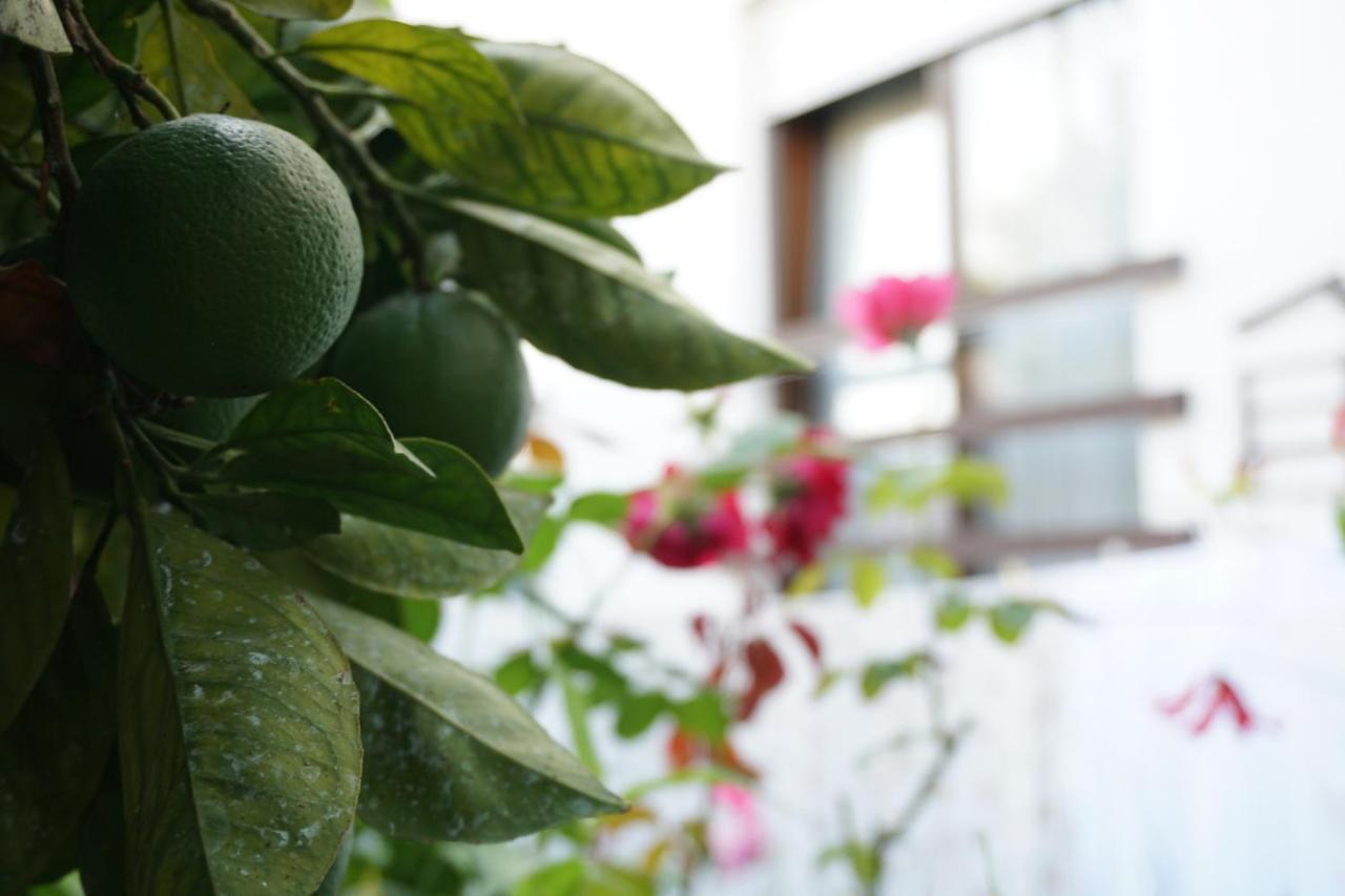 Jardim Da Celeste 비아나도카스텔로 외부 사진